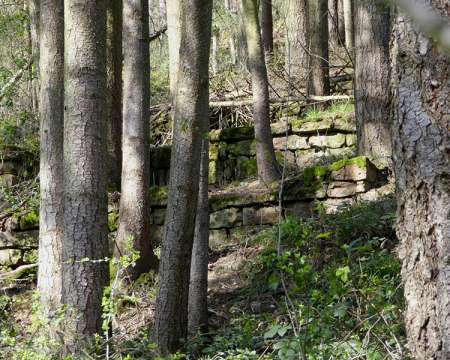 Heimatarchiv Schneeberg