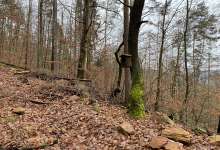 Heimatarchiv Schneeberg