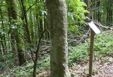 Heimatarchiv Schneeberg