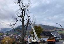 Heimatarchiv Schneeberg