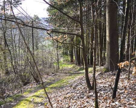 Heimatarchiv Schneeberg