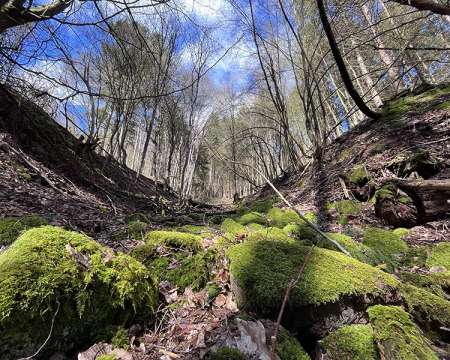 Heimatarchiv Schneeberg