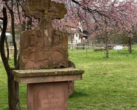 Heimatarchiv Schneeberg