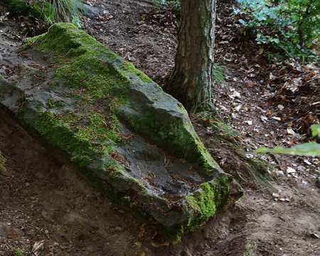 Heimatarchiv Schneeberg