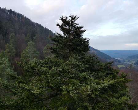 Heimatarchiv Schneeberg